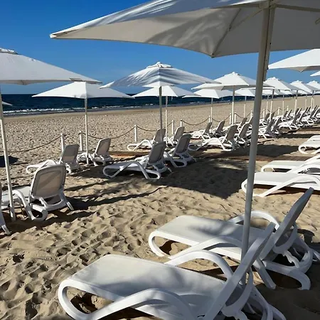 Blue Lagoon A542 W Wave 米兹多洛杰