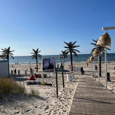 Blue Lagoon A542 W Wave