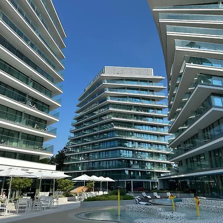 Blue Lagoon A542 W Wave * 米兹多洛杰