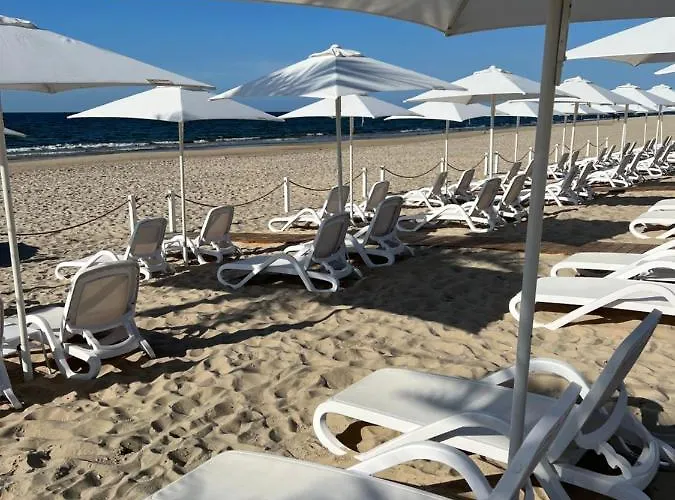 Blue Lagoon A542 W Wave Miedzyzdroje