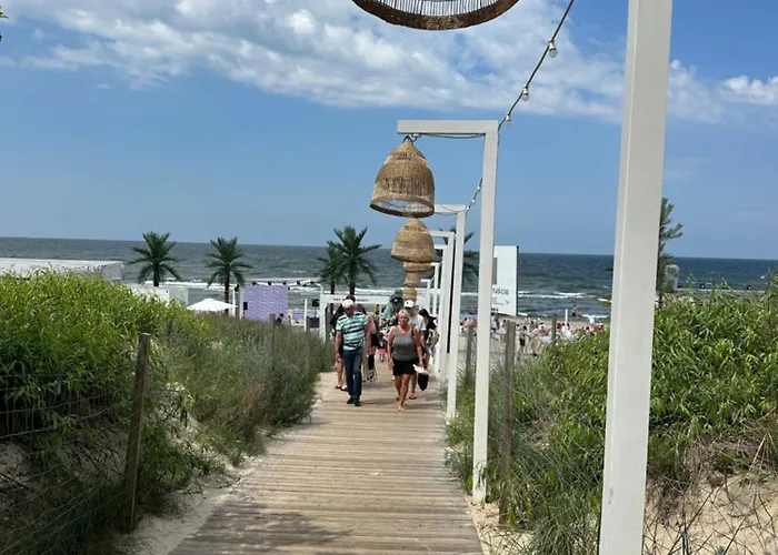 Blue Lagoon A542 W Wave